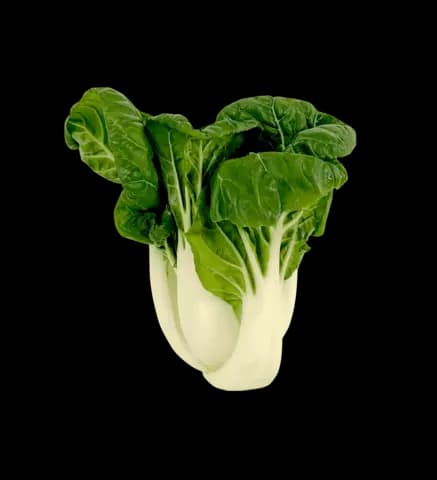 Bok Choy (Pak Choi) Mini Vit Stam ca500g  Nederländerna