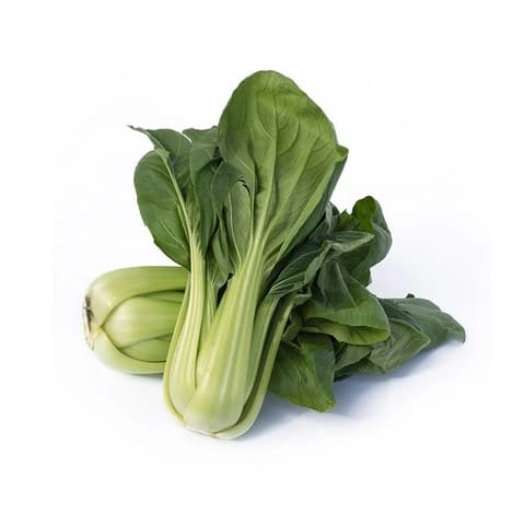 Bok Choy (Pak Choi) Grön Stam Ca500-600g Spanien