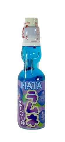 Dryck Blåbär 200ml HATA Japan