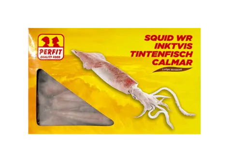 Bläckfisk Hel  Fryst 20/30 ca1kg Perfit Indien