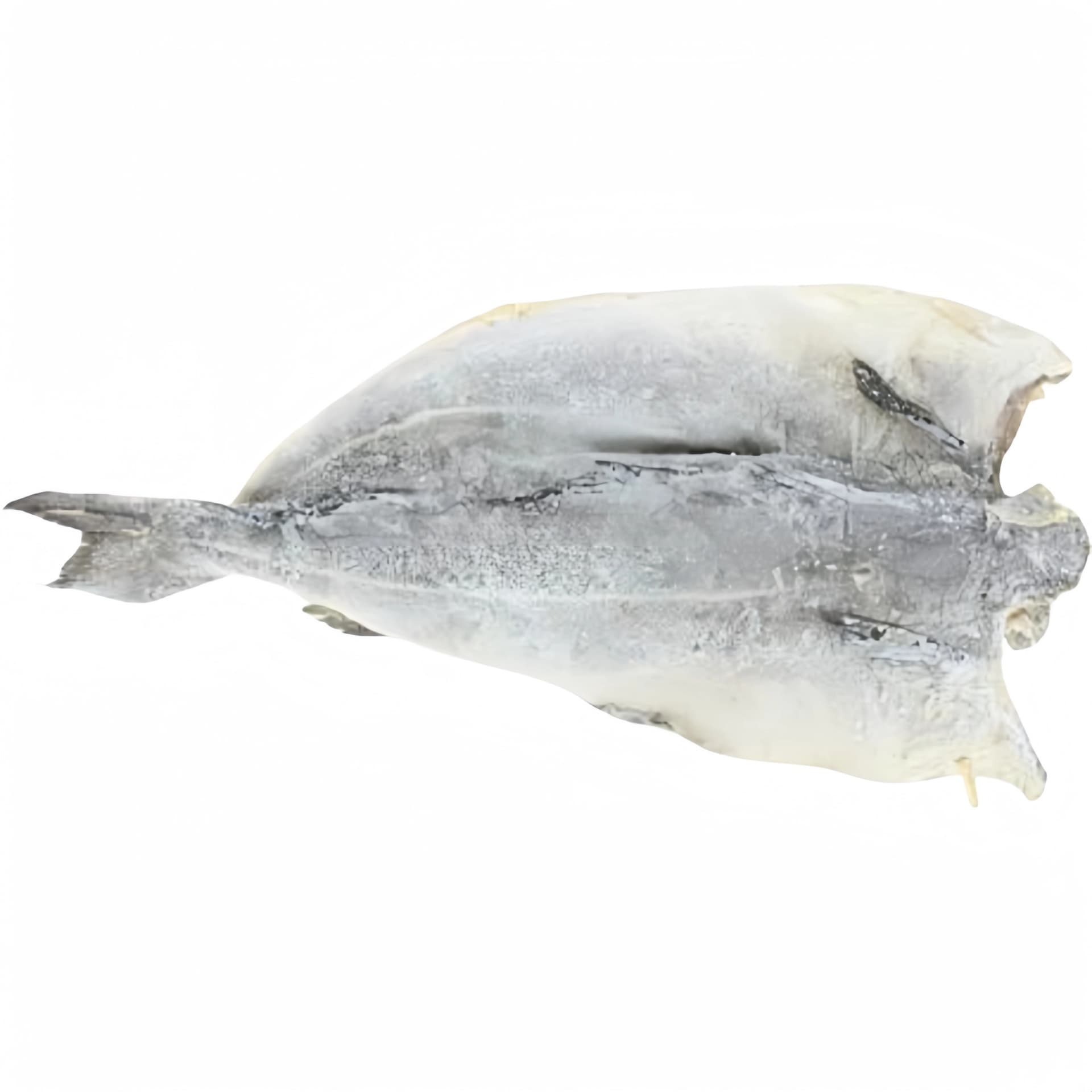 Torkad Och Saltad Saithe (Morue) 21/30  ca 1kg Northern Fisk Norge