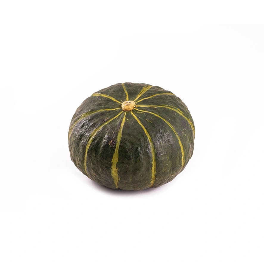 Pumpa Mini 1st Frankrike