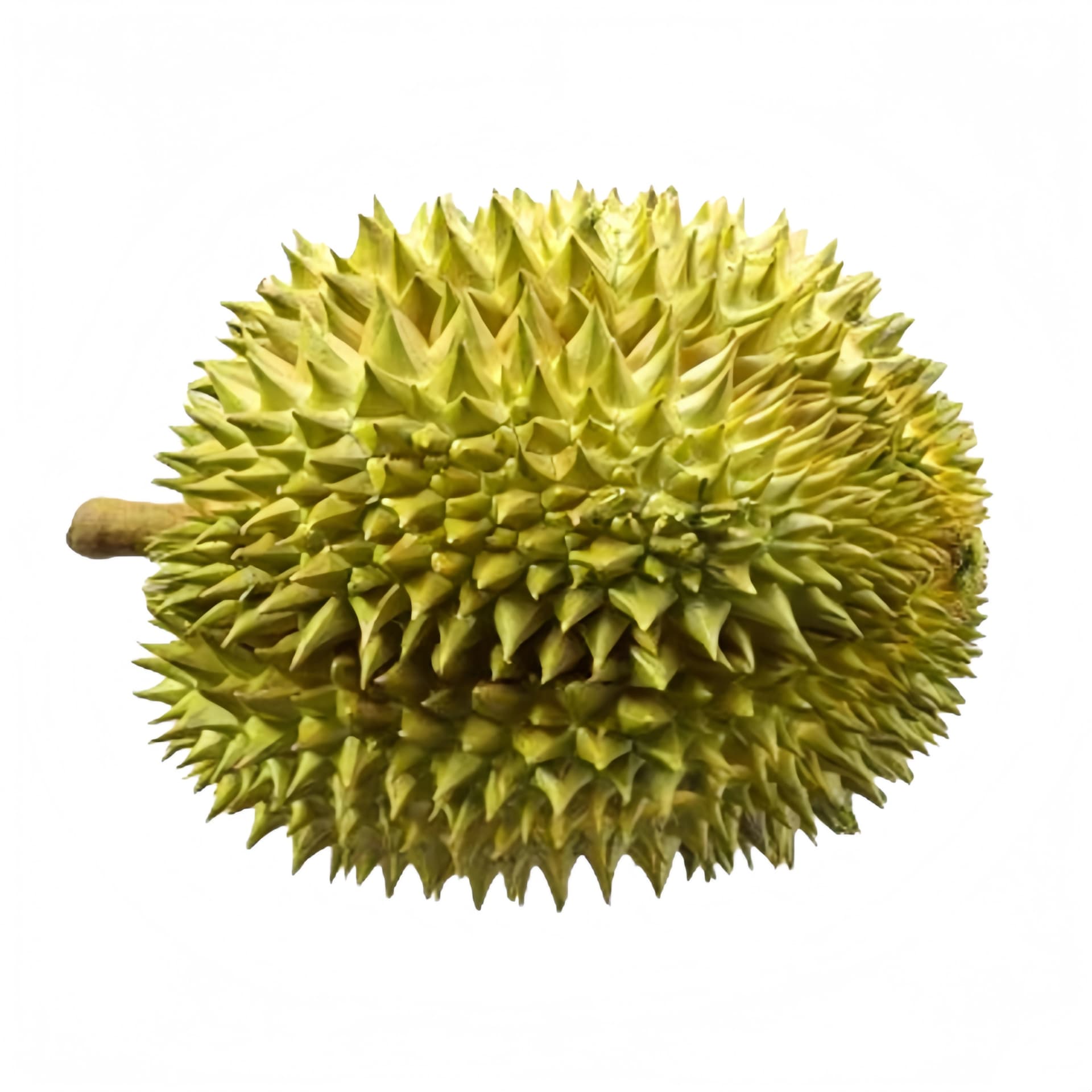 Durian Hel Fryst ca3-4kg Asian Choice Thailand, priset avser en Durian på 4kg