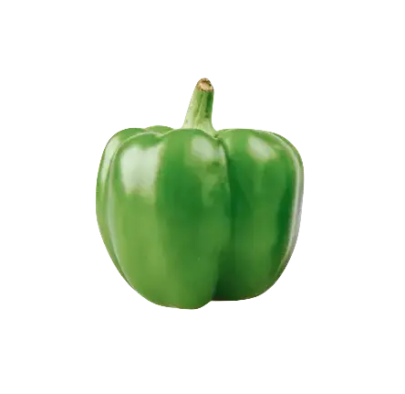 Paprika Rund Grön Ca400-500g/Förp Nederländerna