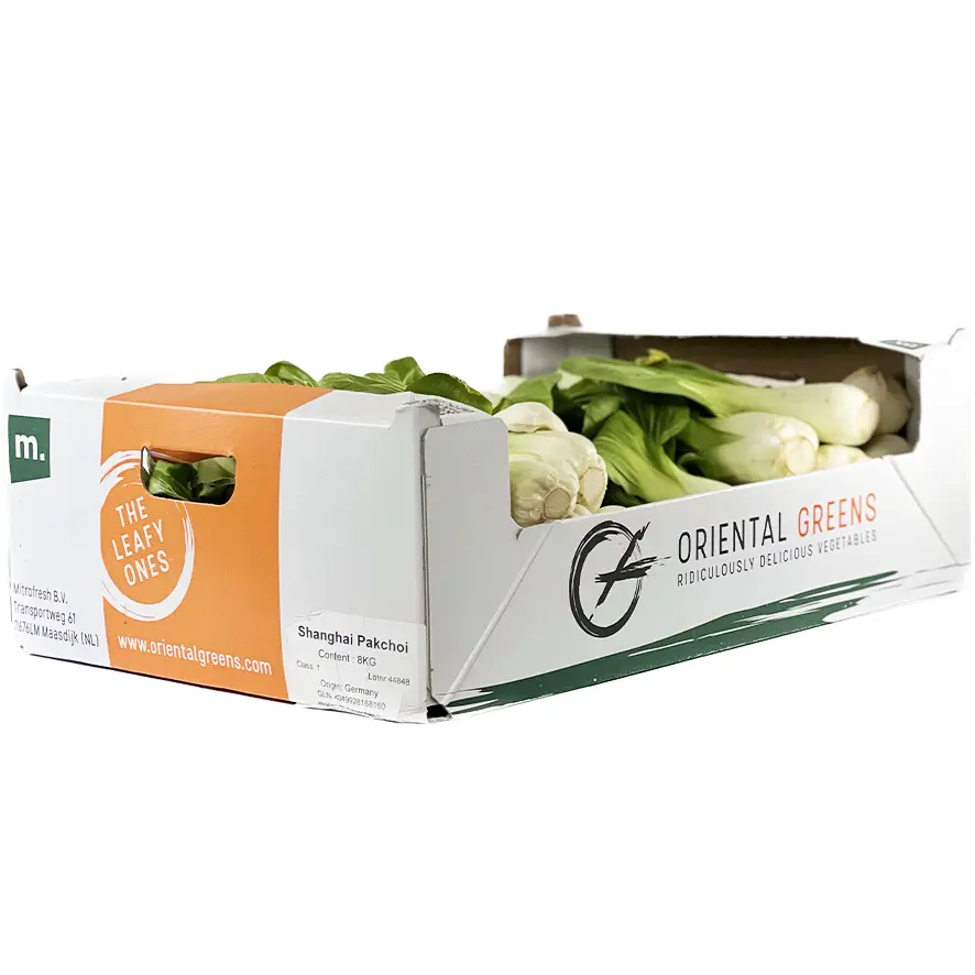 Bok Choy (Pak Choi) Grön Stam Ca7,5-8kg/Krt Spanien