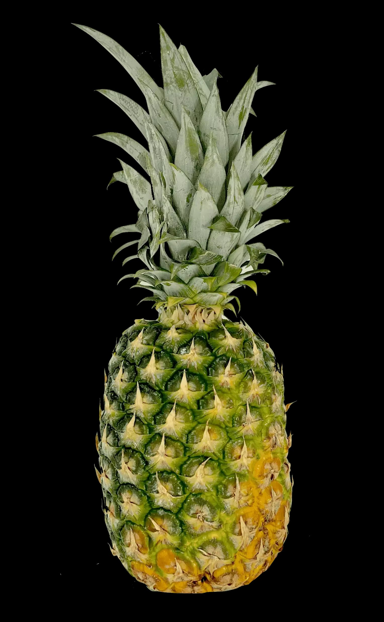 Ananas pris per styck Costa Rica