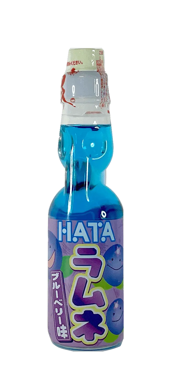 Dryck Blåbär 200ml HATA Japan
